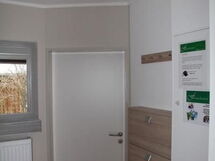 Adele - Allergiker Geeignet