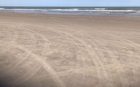 Answald - 250M from the Sea: Entorno Natural, Playa, Horizonte, Ecorregión, Arena, Llanura, Apuntalar, Mar, Costa, Oceano