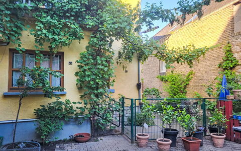 Tinkerhof Stahlhut: Verde, Arbusto, Maceta, Primavera, Planta De Casa, Jardín, Yarda, Patio, Patio Interior