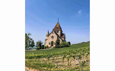 Tinkerhof Stahlhut