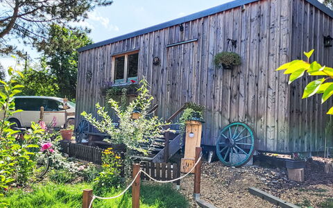 Tiny House Cottage Herbert: Madera, Cabaña, Cobertizo, Edificios Del Jardín, Puerta, Vía Muerta, Madera Dura, Manchas De Madera, Cuarto De Troncos, Jardín