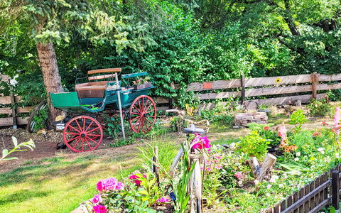 Tiny House Cottage Herbert: Flor, Jardín, Arbusto, Primavera, Cobertura Del Suelo, Patio Interior, Paisajismo, Yarda, Floristas