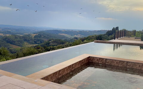 Villa Elisa: Piscina, Material Compuesto, Fuente De Agua