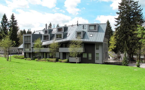 Harrachov Resident a: Casa, Barrio Residencial, Casa, Cabaña, Inmuebles, Suburbio, Yarda, Vía Muerta, Paisajismo