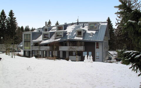 Harrachov Resident a: Casa, Invierno, Congelación, Nieve