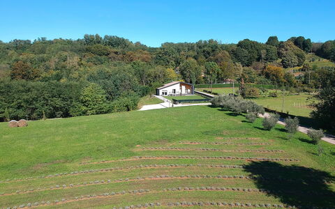 Villa Dolce Bosco with Pool, Valdobbiadene: Árbol, Hierba, Llanura, Paisaje, Pradera, Arbusto, Área Rural, El Terreno Del Lote, Cobertura Del Suelo