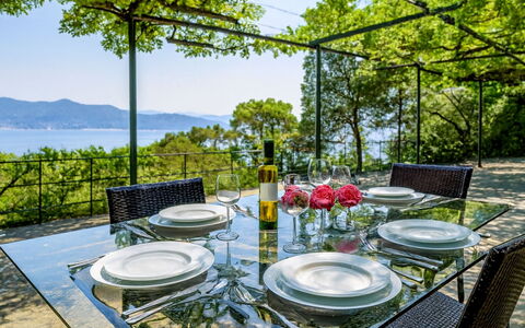 Portofino: Mueble, Mesa, Silla, Cocina Y Comedor Mesa, Mesa Al Aire Libre, Restaurante, Mueble Para Exteriores, Sombra, Recurso, Jardín