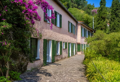 Portofino: Arbusto, Primavera, Jardín, Pasarela