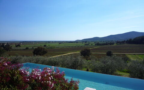 Castelprile: Azul, Piscina, Inmuebles, Casa De Campo, Plantación, Paisajismo, Eco Hotel, Hacienda, Villa, Recurso