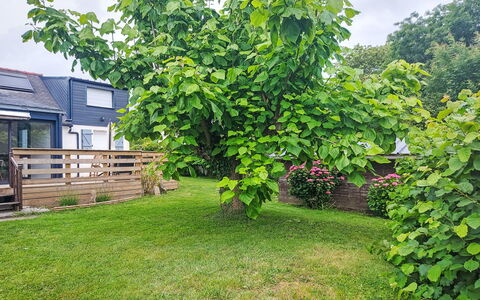 Maison de Kergoff: Hoja, Plantas Leñosas, Jardín, Césped, Patio Interior, Yarda, Sombra, Paisajismo