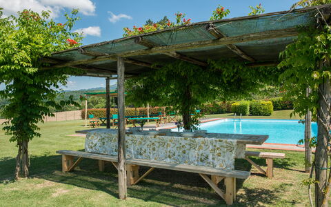 Martini: Sombra, Jardín, Estructura Al Aire Libre, Pérgola, Piscina, Paisajismo, Patio Interior, Eco Hotel, Yarda, Recurso