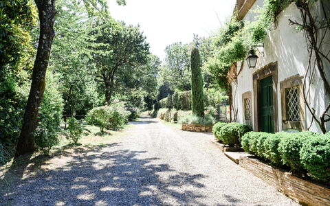 Fattoria: Arbusto, Jardín, Entrada De Coches, Paisajismo, Sombra, Pasarela, Jardín Botánico, Cobertura, Plantación, Sendero