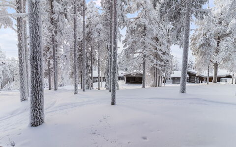 Kelokaltiokylä Mökki 58: Nieve, Rama, Invierno, Árbol, Madera, Ramita, Congelación, El Maletero, Mañana, Escarcha