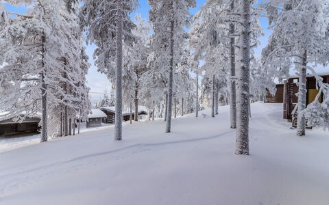 Kelokaltiokylä Mökki 58: Nieve, Invierno, Rama, Árbol, Madera, Ramita, Congelación, Escarcha, El Maletero, Cabaña