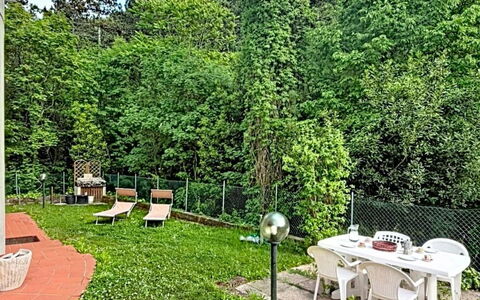 Le Busatte: Arbusto, Jardín, Sombra, Césped, Patio Interior, Yarda, Hojas Perennes, Paisajismo, Parque