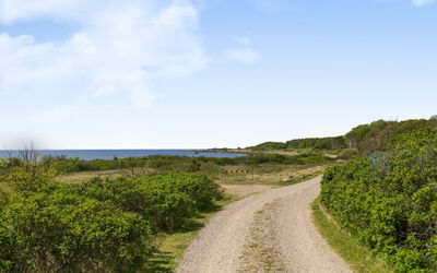 Ringenäs