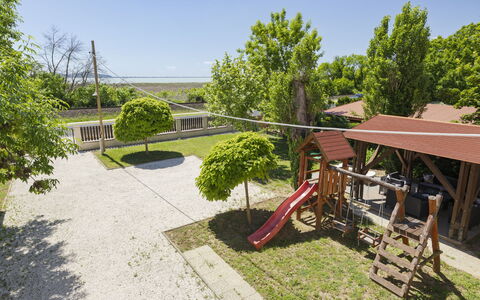 Petka: Arbusto, Jardín, Sombra, Paisajismo, Césped, Yarda, Inmuebles, Patio Interior, Hacienda
