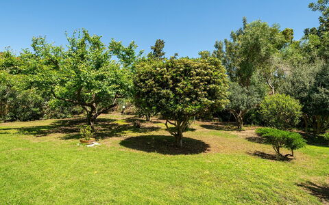 Malù House: Hoja, Entorno Natural, Rama, Vegetación, Arbusto, Planta De La Comunidad, Jardín, Llanura, Plantación, Plantas Leñosas