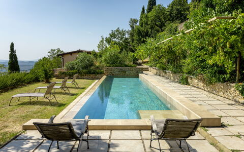 Villa Il Casalino, Florentine Hills with Pool: Piscina, Material Compuesto, Jardín, Inmuebles, Paisajismo, Fuente De Agua, Patio Interior, Sombra, Losa, Loseta