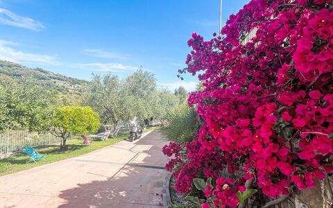 Micuzzo: Flor, Arbusto, Rosado, Primavera, Jardín, Pétalo, Planta Floreciendo, Jardín Botánico, Florecer