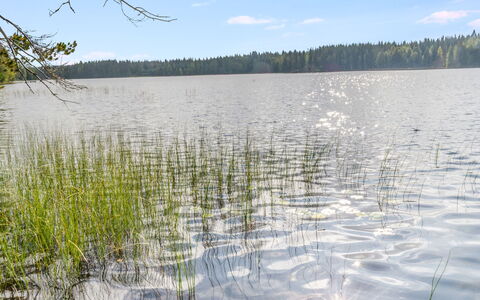 Kuikkaranta: Agua, Los Recursos Hídricos, Cuerpo De Agua, Entorno Natural, Naturaleza, Pantano, Paisaje Natural, Banco