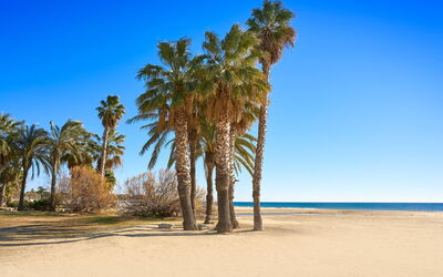 Cambrils 40