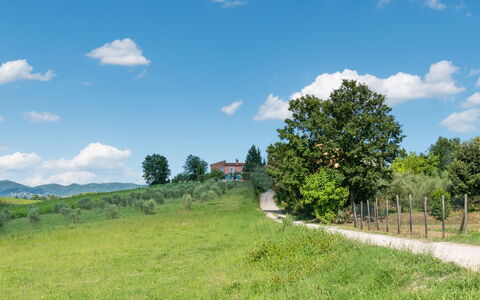 Agriturismo le Due Querce: Cielo, Hierba, Verde, Entorno Natural, Naturaleza, Paisaje Natural, Pradera, Llanura, Paisaje