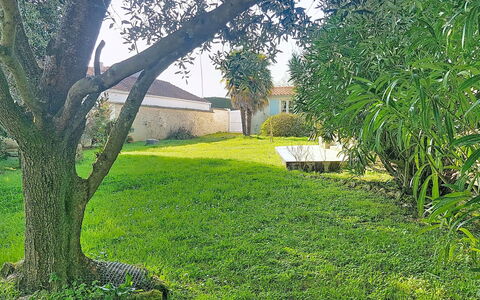 Le Château 3: Verde, Hierba, Hoja, Arbusto, Jardín, Césped, Cobertura Del Suelo, Primavera, Plantas Leñosas