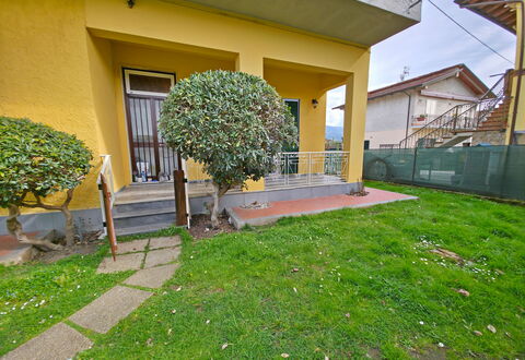 Casa Serena: Arbusto, Jardín, Césped, Yarda, Patio Interior, Paisajismo, Sombra, Cobertura, Patio, Pasarela