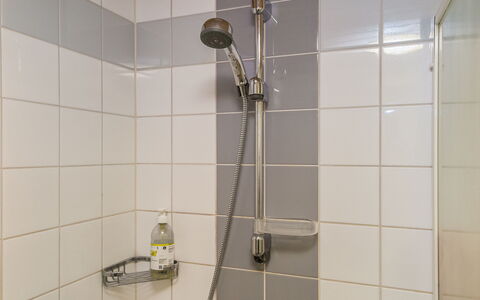 Point Vale 2 As 2: Baño, Arreglo De Tubería, Alcachofa De La Ducha, Piso, Ducha, Barra De La Ducha, Plomería, Suelo, Panel De Ducha, Loseta