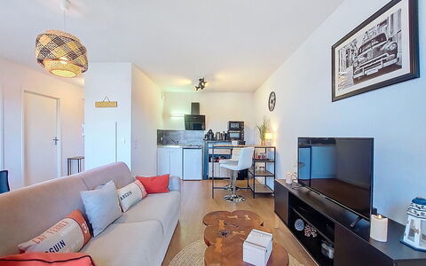Domaine de L'Androne: Mueble, Diseño De Interiores, Piso, Suelo, Habitación, Sofá, Techo, Departamento, Sala, Televisión