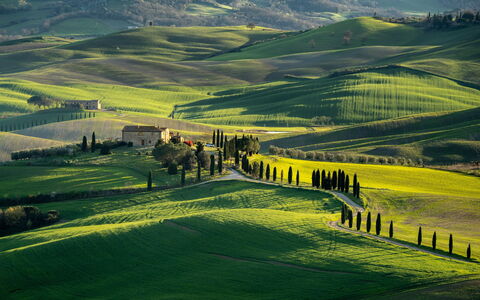 Casa Lory, Monteriggioni, Siena: Hierba, Paisaje Natural, Colina, Pradera, Paisaje, Tierras Altas, Campo, Llanura, Área Rural, Prado