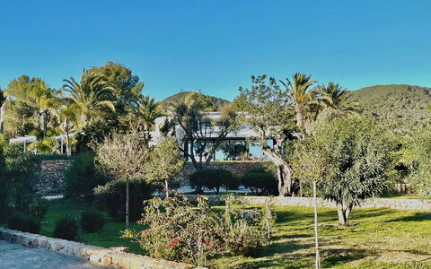 Villa the Marvel: Árbol, Hoja, Vegetación, Paisaje, Arbusto, Jardín, Paisajismo, Sombra