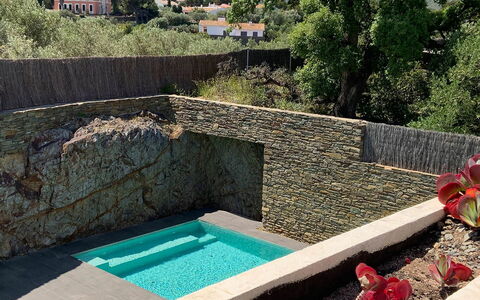 Villa Luisa: Pared De Piedra, Piscina, Fuente De Agua, Jardín, Paisajismo, Patio Interior, Sombra, Losa, Eco Hotel