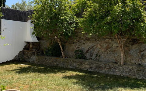 Villa Luisa: Hoja, Plantas Leñosas, Jardín, Sombra, Pared De Piedra, Patio Interior, Paisajismo