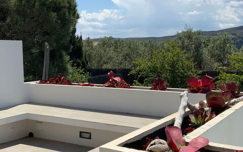 Villa Luisa: Jardín, Hormigón, Sombra, Paisajismo, Diseño, Patio Interior, Planta De Casa, Patio, Maceta