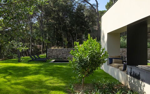 Villa Bamby: Arbusto, Jardín, Sombra, El Terreno Del Lote, Cobertura Del Suelo, Paisajismo, Patio Interior, Césped, Hormigón, Yarda