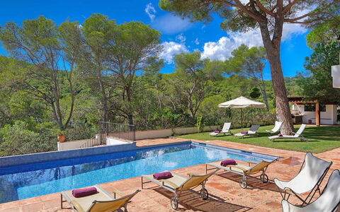 Villa Cassiopea: Piscina, Recurso, Mueble Para Exteriores, Sombra, Jardín, Eco Hotel, Sunlounger, Paisajismo, Villa, Patio Interior