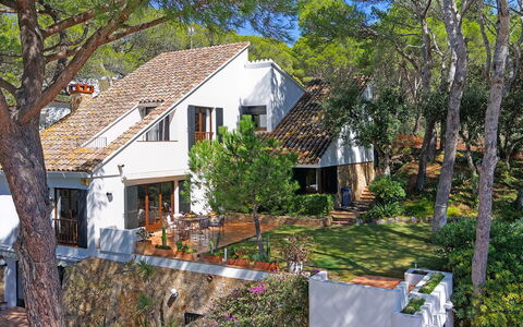 Villa Cassiopea: Árbol, Edificio, Casa, Barrio Residencial, Casa, Techo, Arquitectura, Cabaña, Inmuebles, Asentamientos Humanos