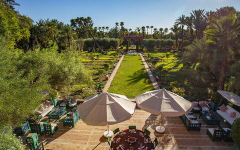 Villa the Garden: Jardín, Recurso, Paisajismo, Jardín Botánico, Eco Hotel, Sombra, Hacienda, Yarda, Silla