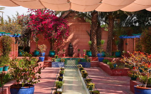 Villa the Garden: Maceta, Arbusto, Jardín, Primavera, Planta De Casa, Paisajismo, Patio, Jardín Botánico, Yarda