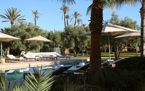 Villa Eleganza: Piscina, Recurso, Mueble Para Exteriores, Sunlounger, Sombra, Silla, Paisajismo, Eco Hotel, Hotel