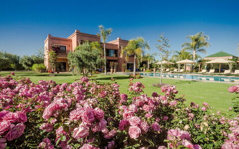 Villa Annarosa: Jardín, Inmuebles, Mansión, Paisajismo, Recurso, Hacienda, Césped, Villa, Eco Hotel