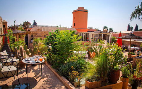 Riad Ikram: Maceta, Planta De Casa, Jardín, Silla, Paisajismo, Mueble Para Exteriores, Hacienda, Patio, Eco Hotel, Yarda