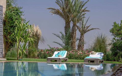 Villa Orange Trees: Piscina, Recurso, Mueble Para Exteriores, Mueble, Eco Hotel, Jardín, Sunlounger, Paisajismo, Sombra, Patio Interior