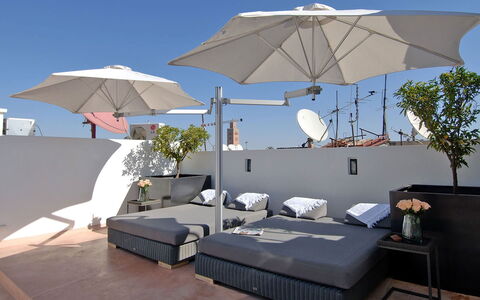Dar Sami: Mueble, Mueble Para Exteriores, Maceta, Silla, Departamento, Paraguas, Planta De Casa, Recurso, Balcón, Patio