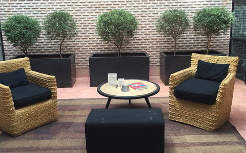 Dar Sami: Mueble, Maceta, Silla, Mueble Para Exteriores, Planta De Casa, Mimbre, Jardín, Brazo, Manchas De Madera, Mesa De Café