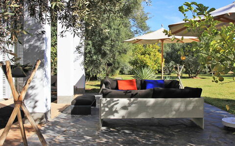 Villa Susan: Mueble, Mueble Para Exteriores, Sombra, Jardín, Silla, Paisajismo, Sunlounger, Césped, Yarda, Eco Hotel