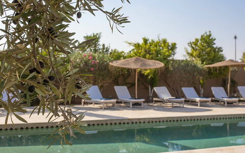 Villa Zagar: Mueble Para Exteriores, Mueble, Piscina, Sunlounger, Recurso, Silla, Sombra, Inmuebles, Paisajismo, Paraguas