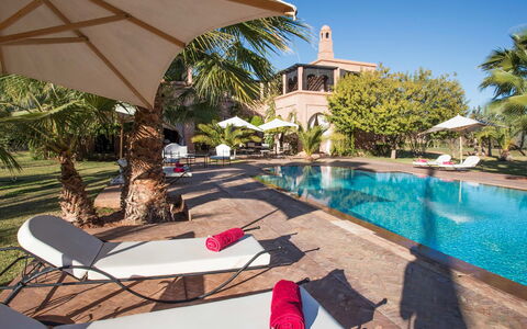 Dar Maril: Árbol, Piscina, Recurso, Mueble Para Exteriores, Paraguas, Inmuebles, Hacienda, Eco Hotel, Villa